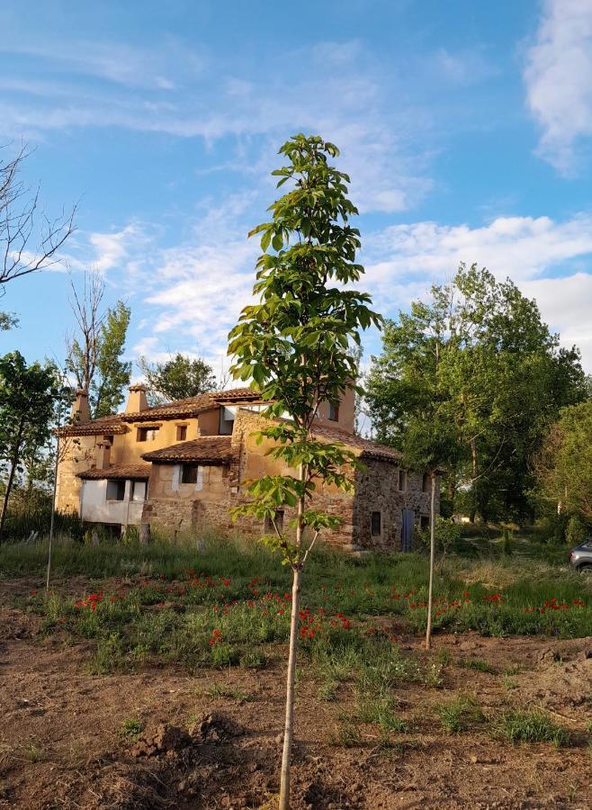 Molino Del Buho Guest House Torre la Cárcel Eksteriør bilde